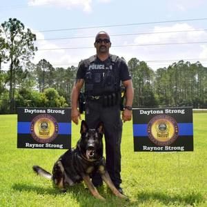 Meet your Posher, Lina